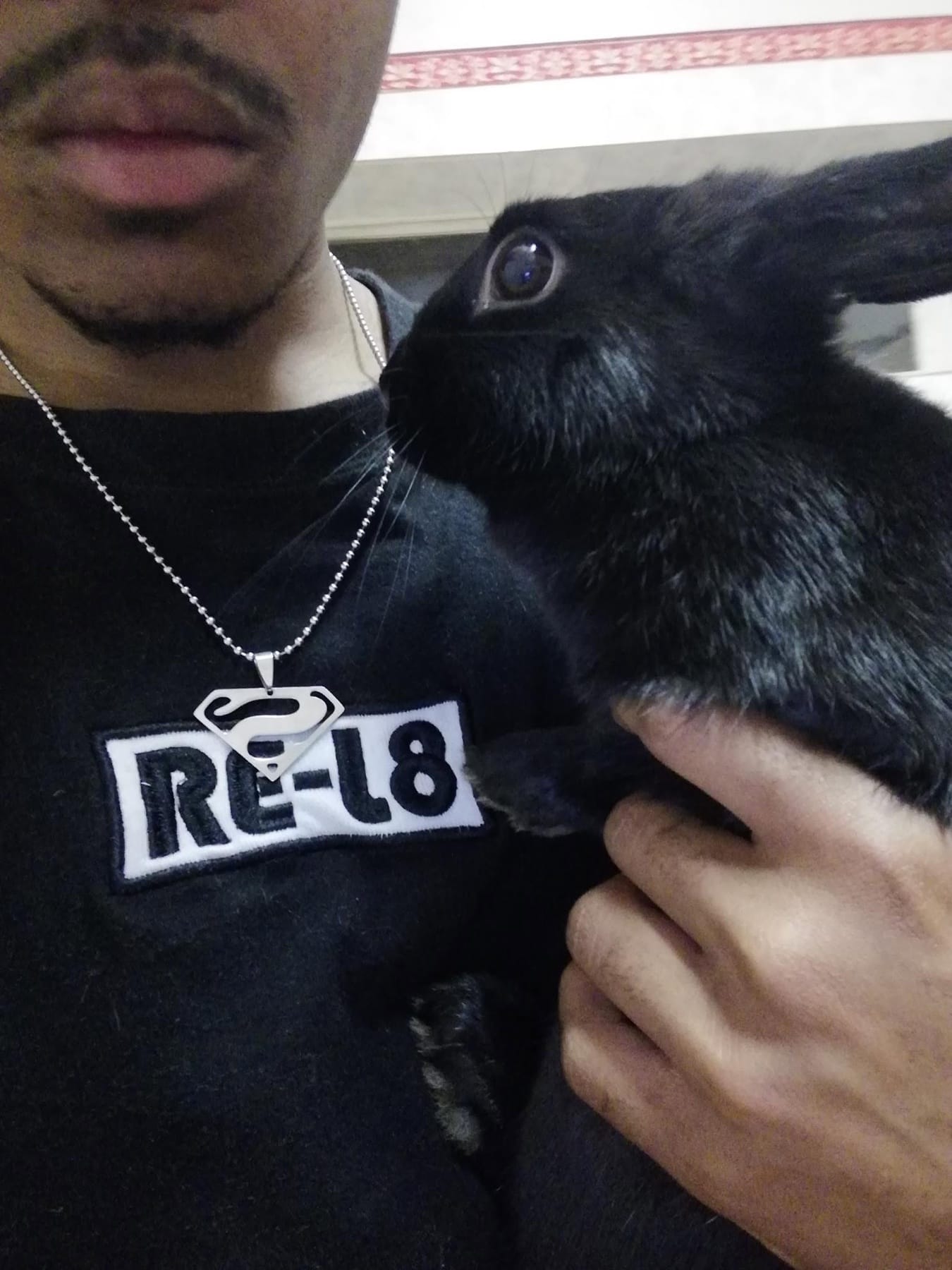 RE-L8 tee with a raven on the shoulder